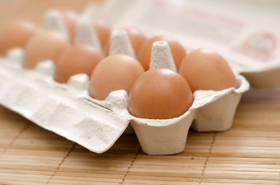 Salmonella em ovos