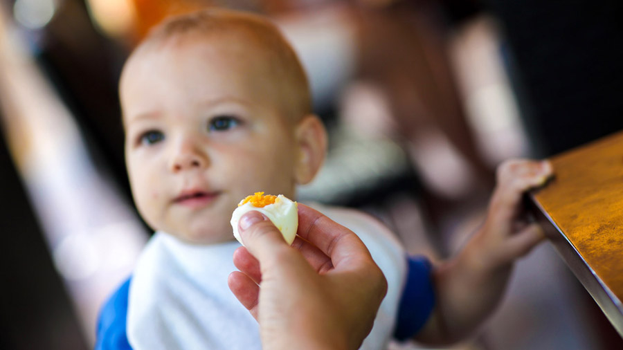 Bebês e crianças podem comer ovo?