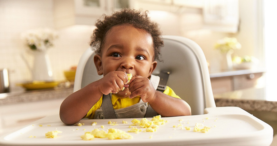 Bebês e crianças podem comer ovo?