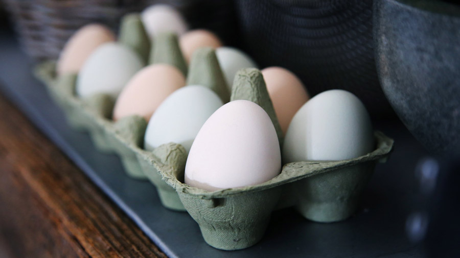 Comer muito ovo faz mal?