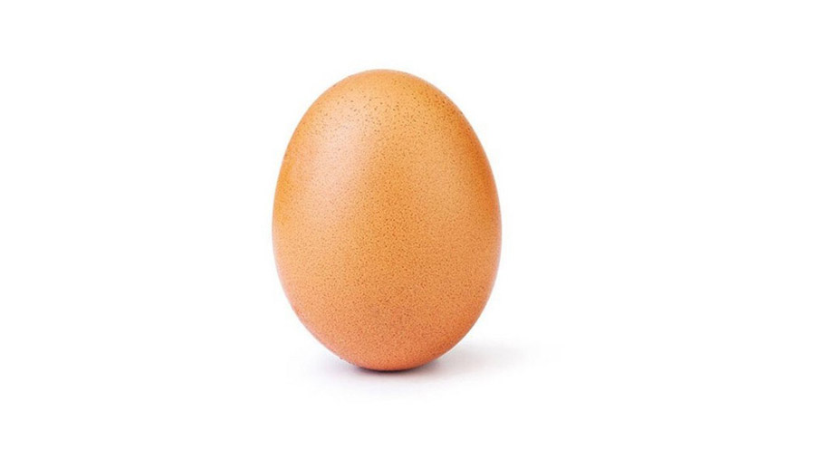 Como saber se o ovo está bom